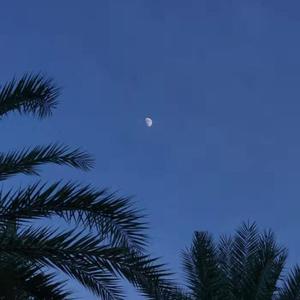 高清无码国语三级
