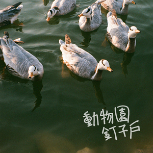 高清无码国语三级
